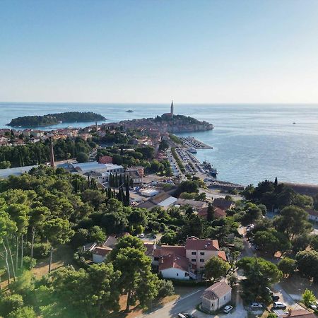 Villa Dobravac Wine Estate Ровин Екстериор снимка